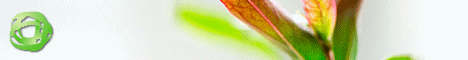 donmassagestudio