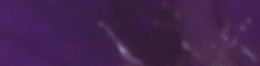 Revu BL